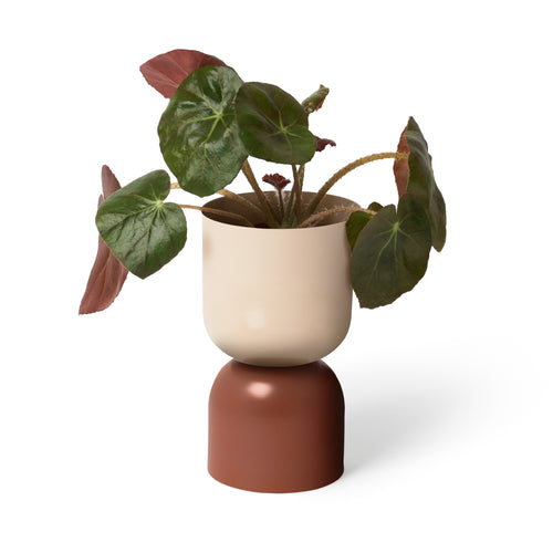 Tone Planter - Red Ochre and Sand
