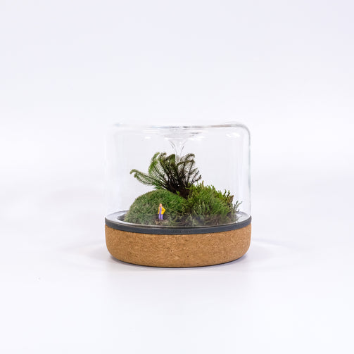 DSCF0907-2.jpg