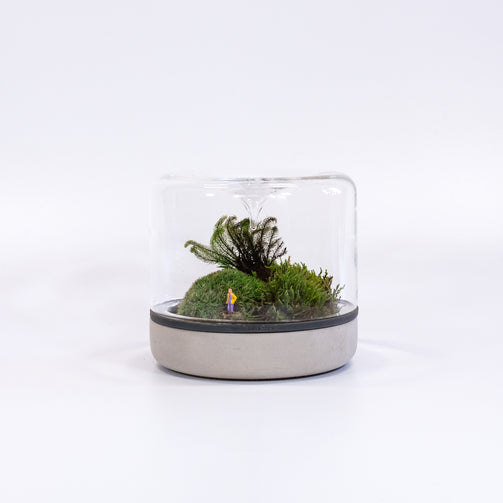 DSCF0912-2.jpg