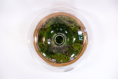DSCF1048.jpg