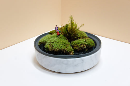 DSCF7107.jpg