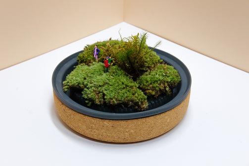 DSCF7109.jpg
