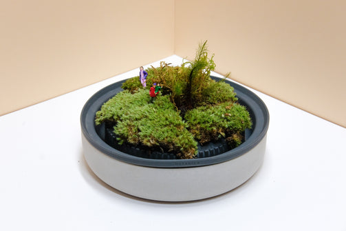 DSCF7113.jpg