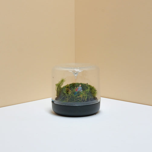 DSCF7129.jpg