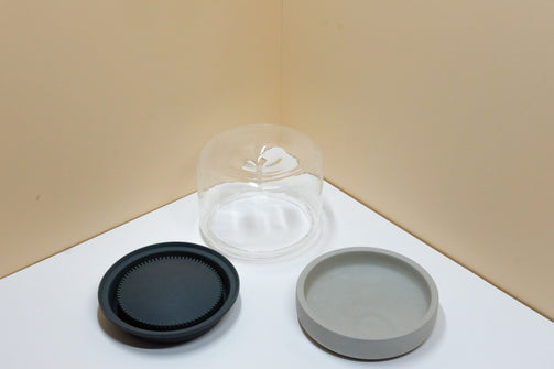 DSCF7331.jpg