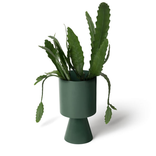 LIG-41juniper_w2p-893x893.jpg