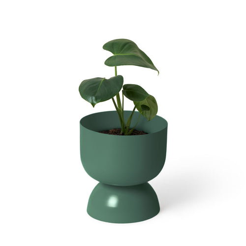 LIG-68JUNIPER_w1p-893x893.jpg