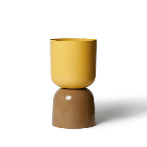 LIG-73-mustard-sorrel_w1.jpg