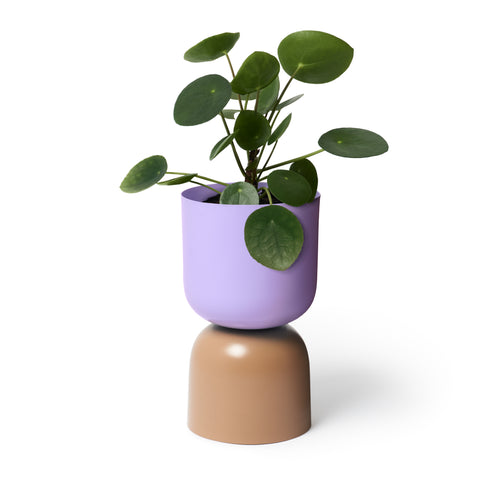 LIG-73lilac_sorel-p_w3.jpg