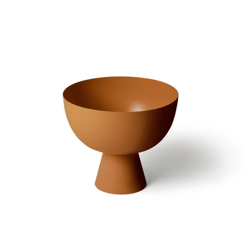 LIG-84-NUTMEG_w1-893x893.jpg