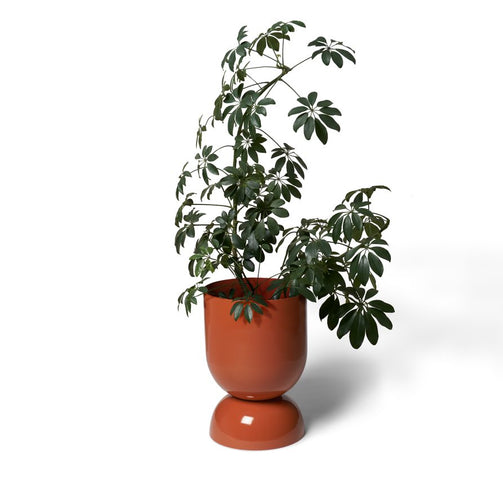 LIG-86BURNTSIENNA_w2p-893x893.jpg