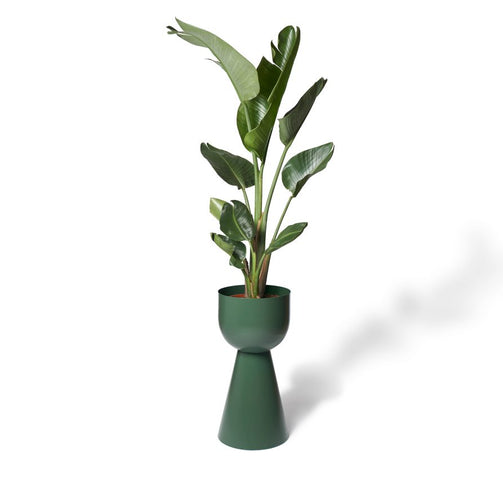 LIG-87JUNIPER_w1p-893x893.jpg
