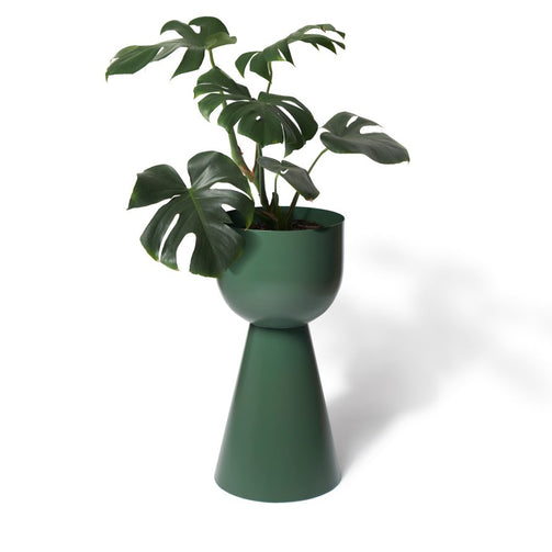 LIG-87JUNIPER_w2p-893x893.jpg