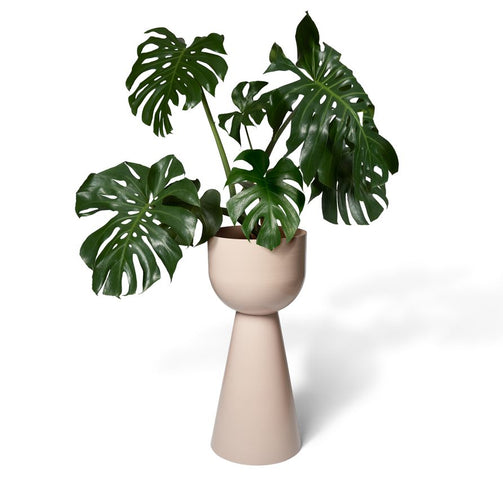 LIG-88SAND_w1p-893x893.jpg