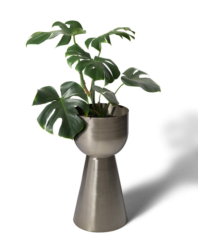 Vera Ex Large - Nickel