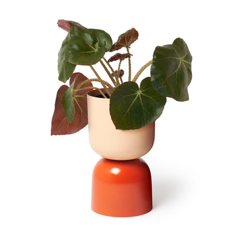 Tone Planter - Sunset