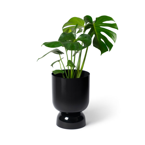 Goblet Planter A - Black