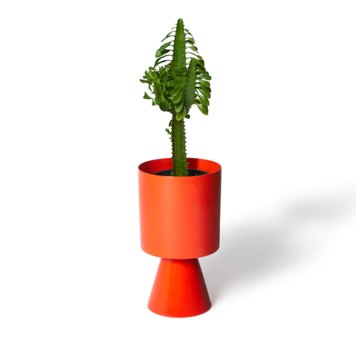 Palm Springs Medium - Sunset