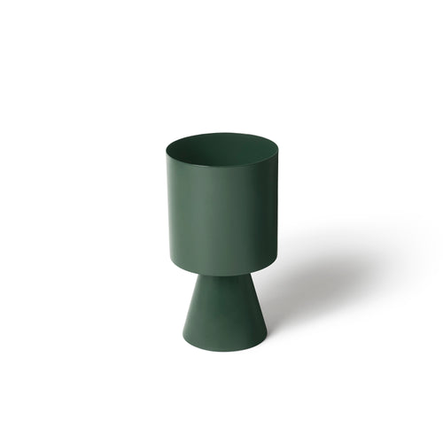 Palm Springs Medium - Juniper