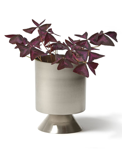 Palm Springs Small - Nickel Lacquer