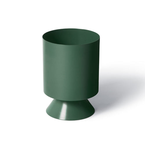 Palm Springs Small - Juniper