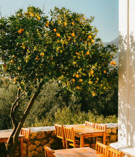 polina-kuzovkova-KO9nXM7hI0A-unsplash-2.jpg